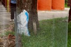 LINE_ALBUM_gogreen-บ้านแข้10669_260611_43