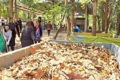 LINE_ALBUM_gogreen-9369_260309_26