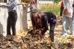 LINE_ALBUM_gogreen-9369_260309_33