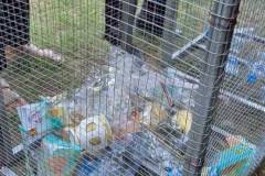 LINE_ALBUM_gogreen-9369_260309_85