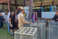 LINE_ALBUM_gogreen-9369_260309_98