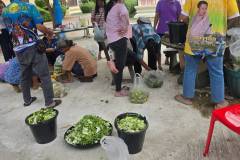 LINE_ALBUM_gogreen-ต.นาสีนวน17869_260822_32