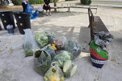 LINE_ALBUM_gogreen-ต.นาสีนวน17869_260822_50