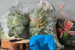 LINE_ALBUM_gogreen-ทต.ดอนตาลผาสุข17769_260720_81