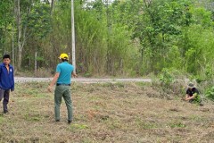LINE_ALBUM_gogreen5668_250605_129