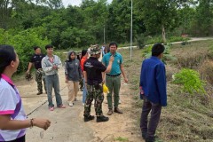 LINE_ALBUM_gogreen5668_250605_147