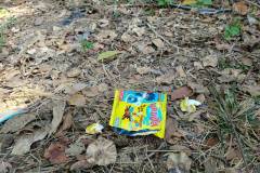 LINE_ALBUM_12232025_251223_26